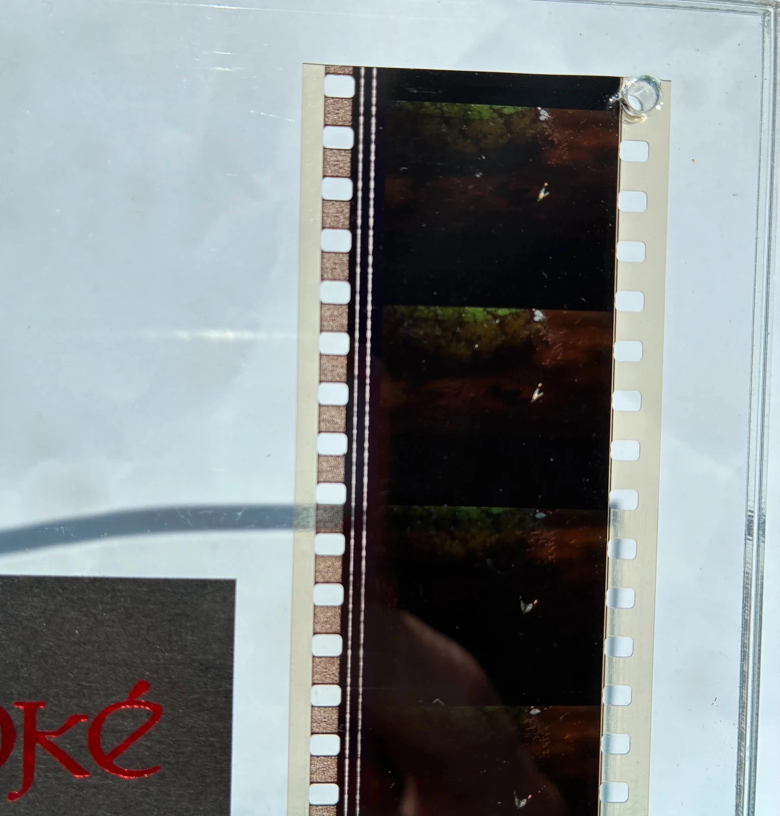 Verzamelbox met dvd's van Princess Mononoke Studio Ghibli collector's editie. – photo 7